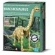 Tyrannosaurus brachiosaurus    udgravning - dino/krestiv